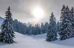 雪景