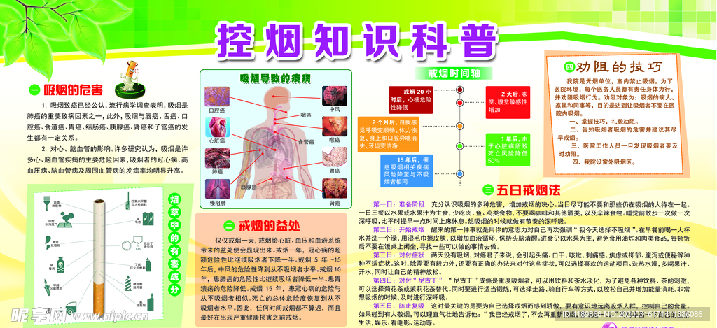 健康教育宣传栏