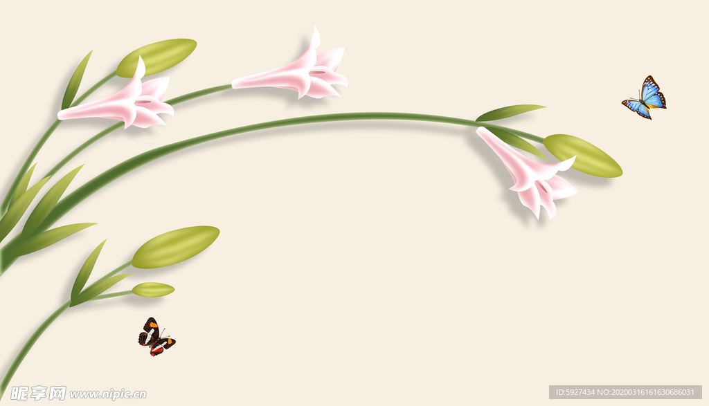 百合花