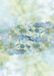 朦胧小清新花朵淡色背景