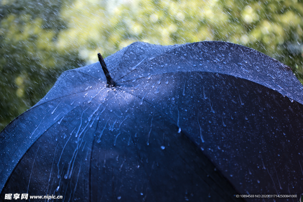 雨伞