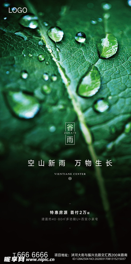 二十四节气-谷雨