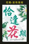 春季挂饰 恰逢花期 海报