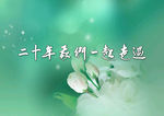 二十年我们一起走过书法