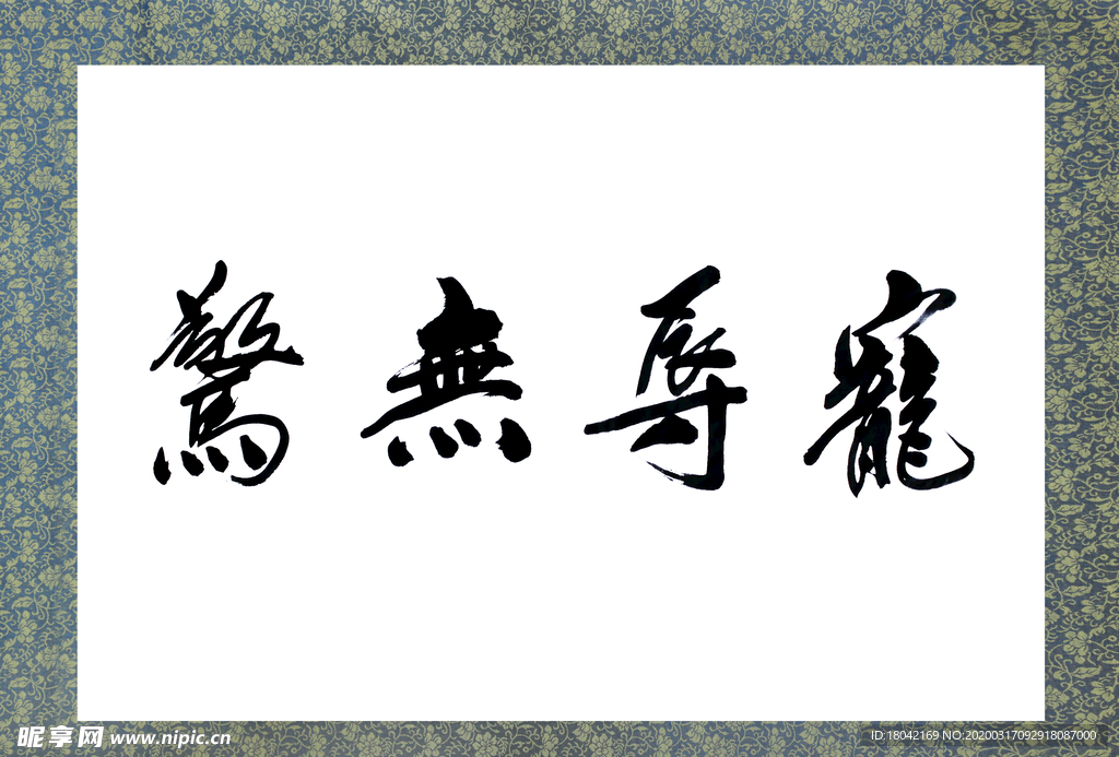 宠辱无惊书法