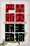野生动物海报