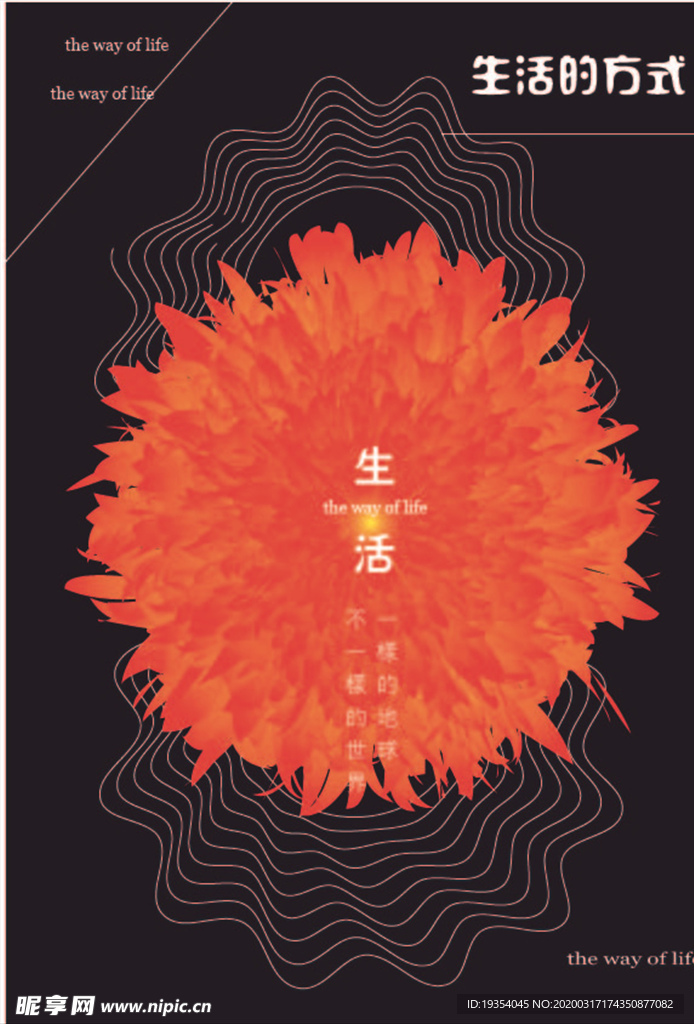 花海报