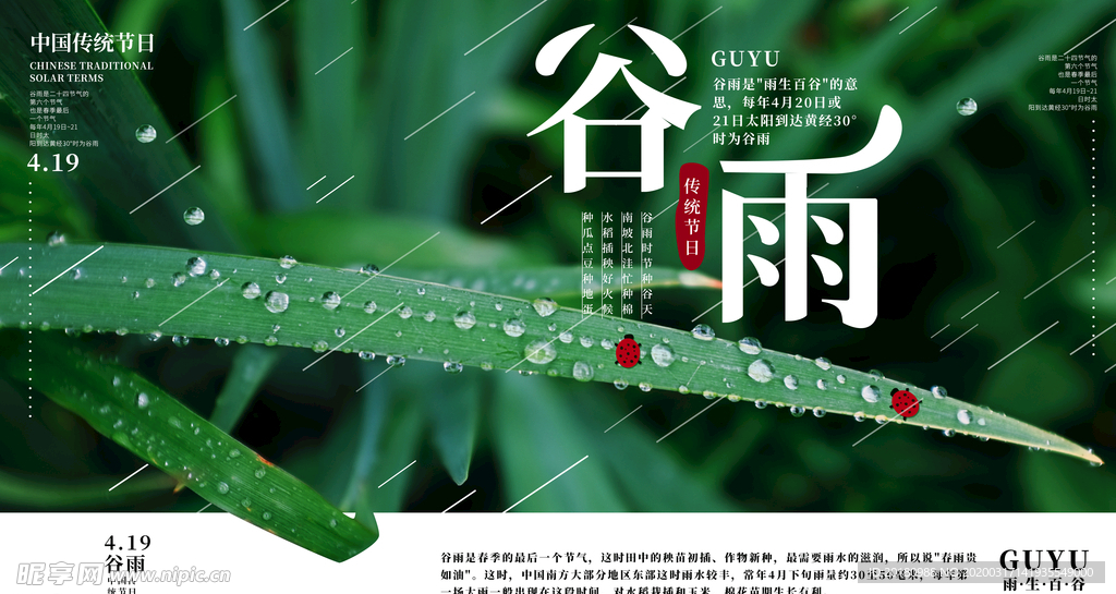 谷雨