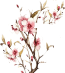 水墨传统国风花朵