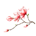 水墨传统国风花朵