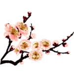 水墨传统国风花朵