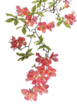 水墨传统国风花朵