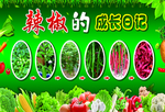 蔬菜的成长日记