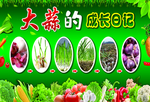 蔬菜的成长日记