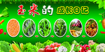 蔬菜成长日记