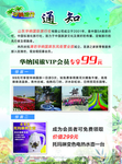 旅游单页