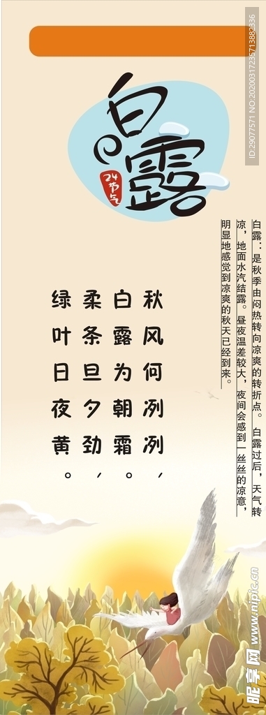 白露