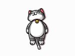 卡通猫
