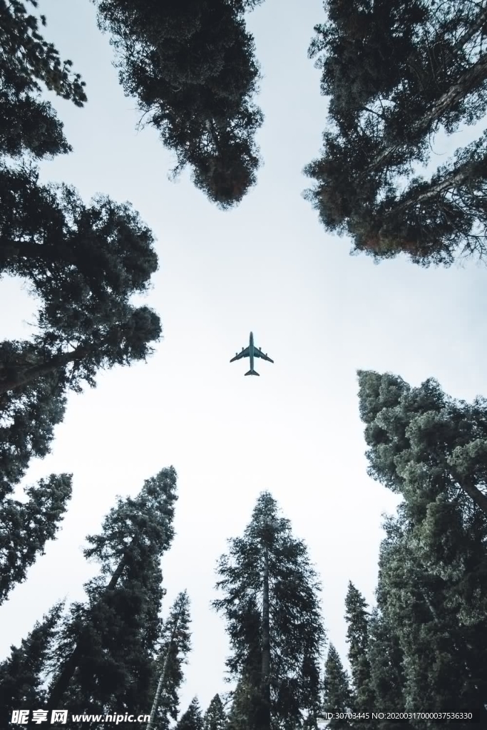 天空上的飞机