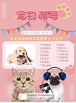 宠物 训导海报传单