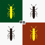 甲虫
