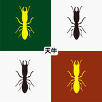 天牛