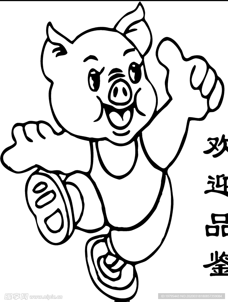 线条猪