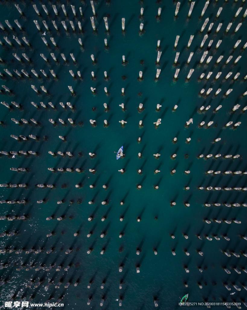 大海里的圆桩