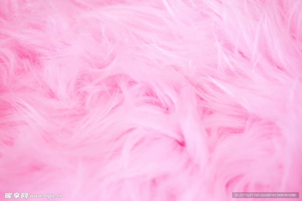 粉色羽毛背景