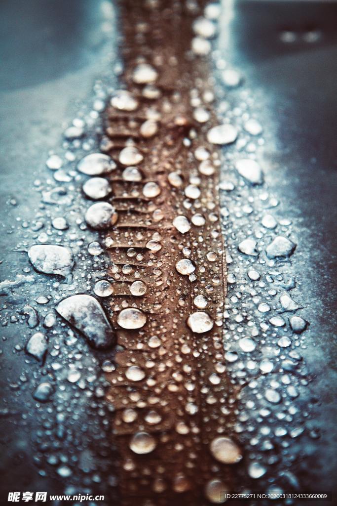沾满水珠的地面