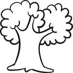 小树