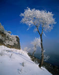 蓝天下的雪景