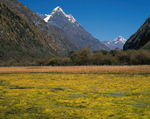高原风景