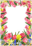 花朵背景插图