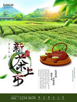春茶上市