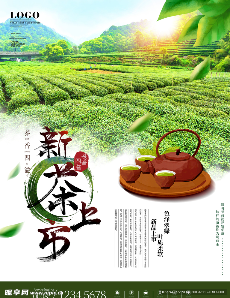 春茶上市