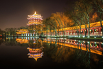 大唐芙蓉园夜景