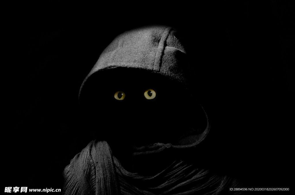 猫 黑 夜 万圣节 黑色 动物