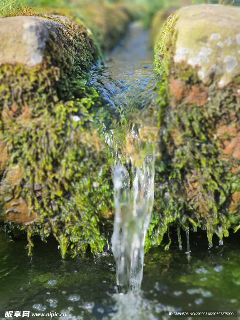 喷泉 水 河道青苔