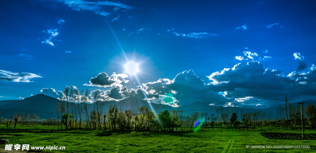 太阳 树 土地 景观 天空 光