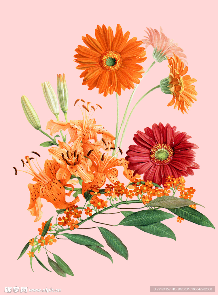 花卉