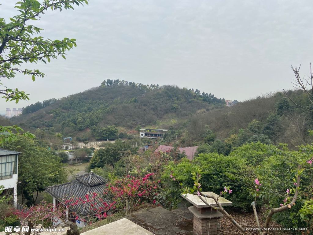 中国元素 宾馆 民宿 高山民宿