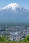 山