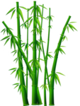 竹