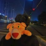 小豹子和你