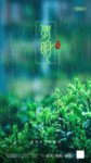 清明节
