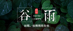 谷雨