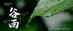 谷雨