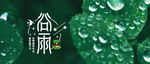 谷雨