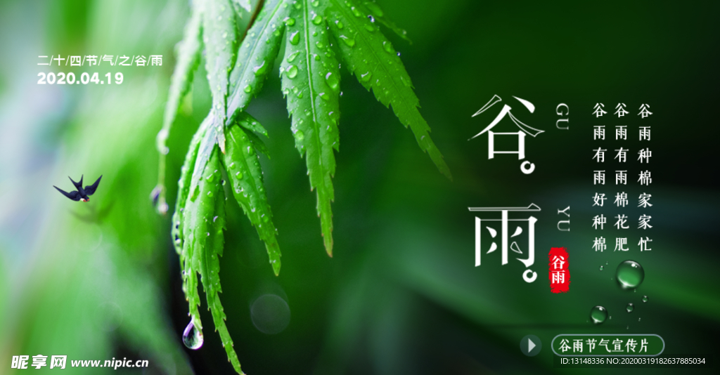 谷雨